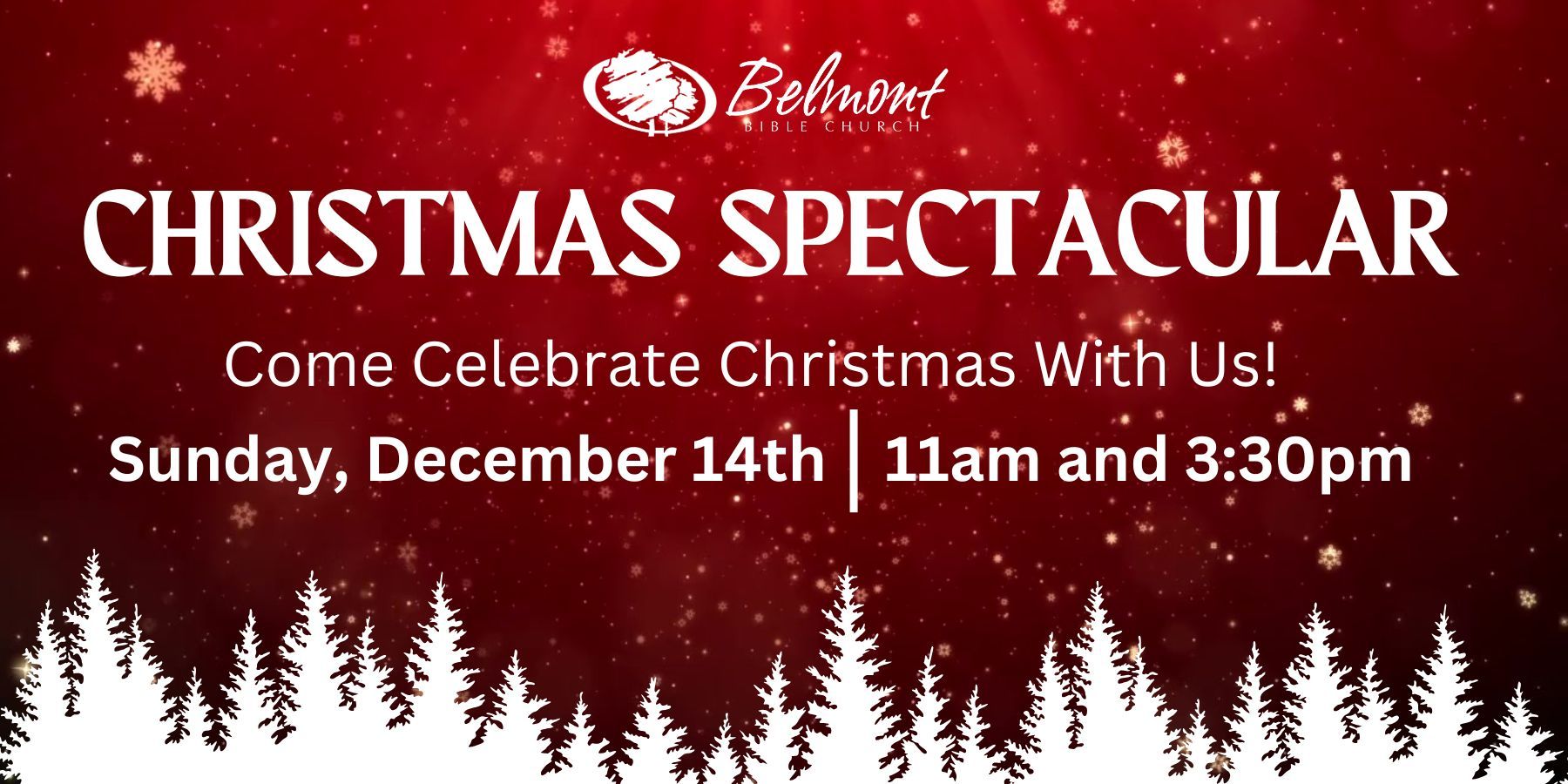 Christmas Spectacular