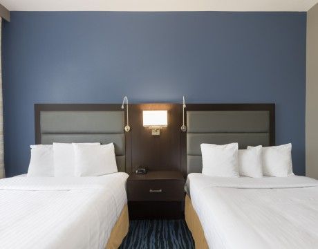 Two beds in a hotel room with white bedding, against a blue wall and brown headboard, nightstand with lamp.