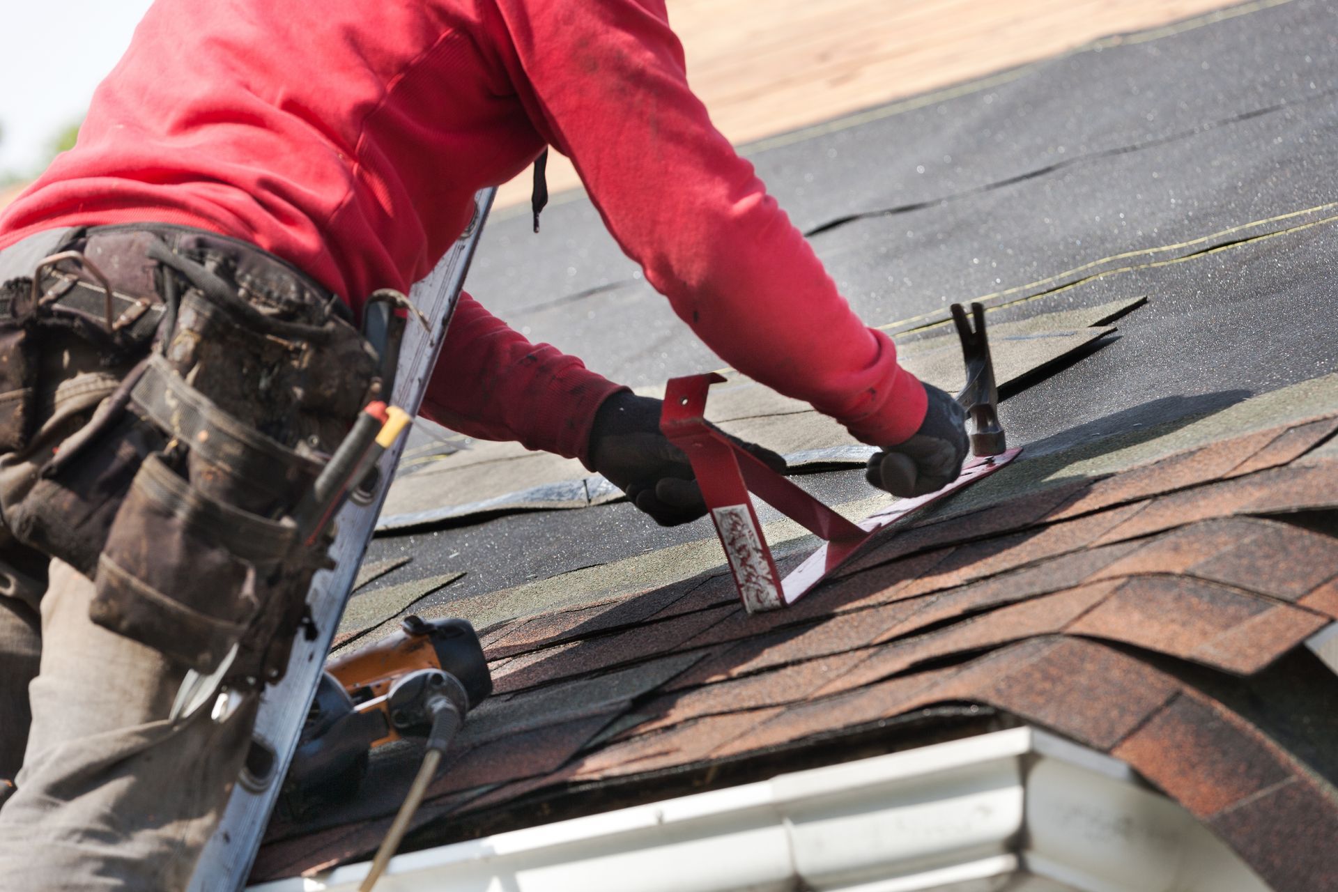 Roofer in red shirt and tool belt installing asphalt shingles on a roof.