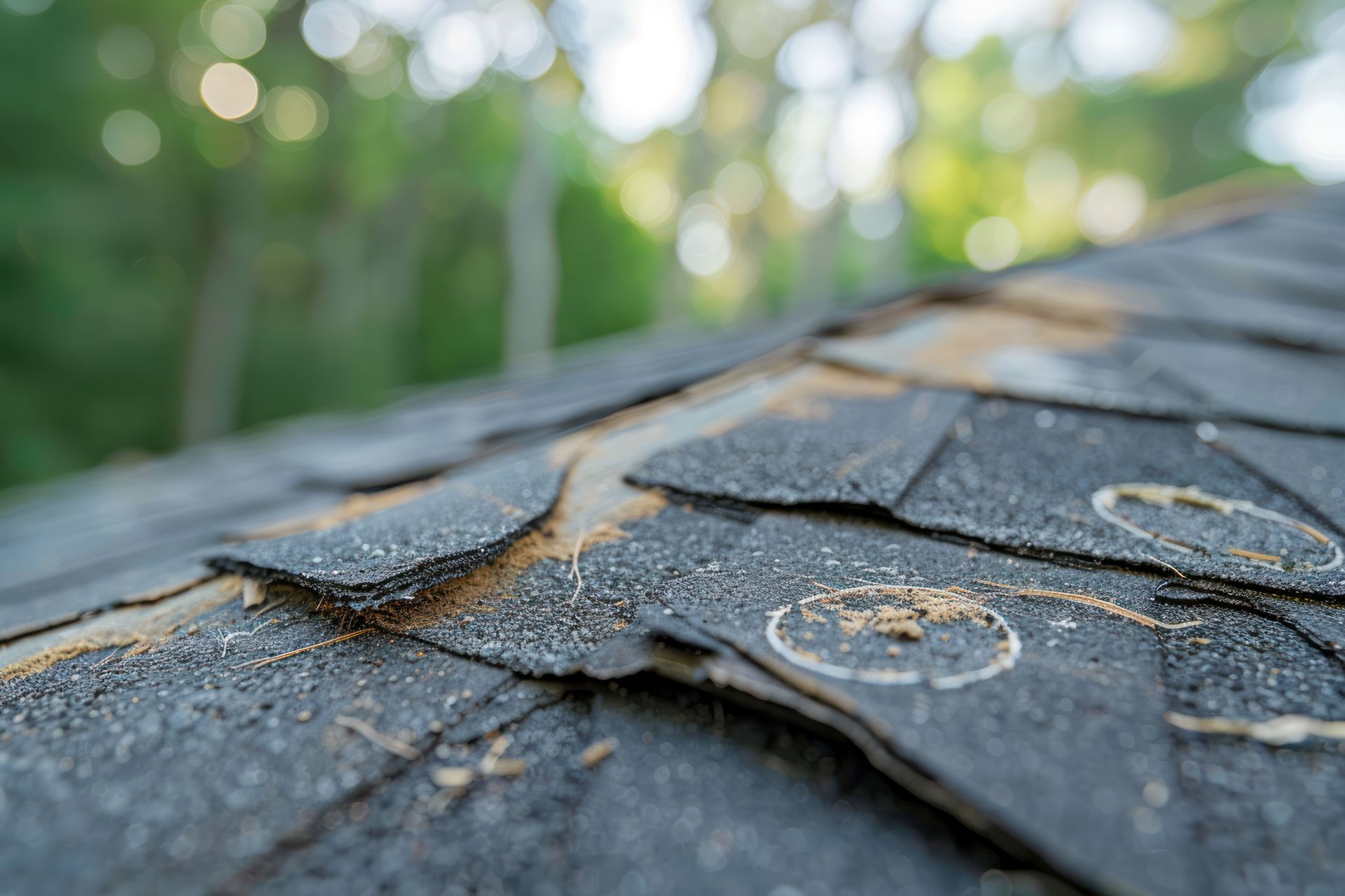 Close-up of weathered asphalt shingles with missing granules and visible underlying material; outdoors, blurred trees.