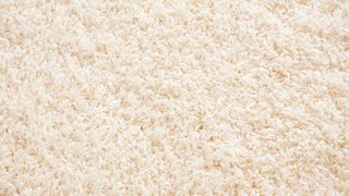 Clean Carpet — Fairfield, OH — Humongous Bill's Carpet Outlet