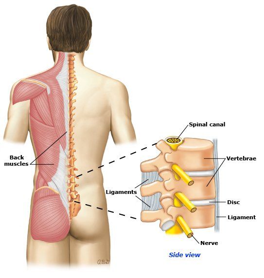 Enfermedades que causan dolor de espalda crónico: ¿Cuáles son?
