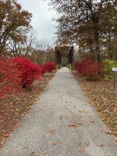 S&A Gallery Image 29