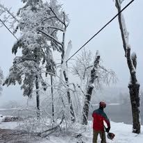 A man is standing in the snow next to a fallen tree.