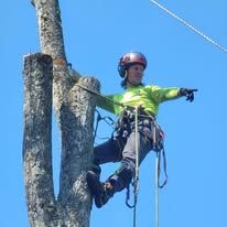 A man is climbing a tree with ropes and a helmet on.