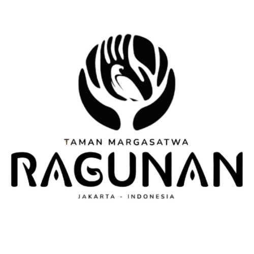 Logo Potato Head, dengan lingkaran konsentris dan bentuk bergaya. Teks di bawah: kepala kentang.