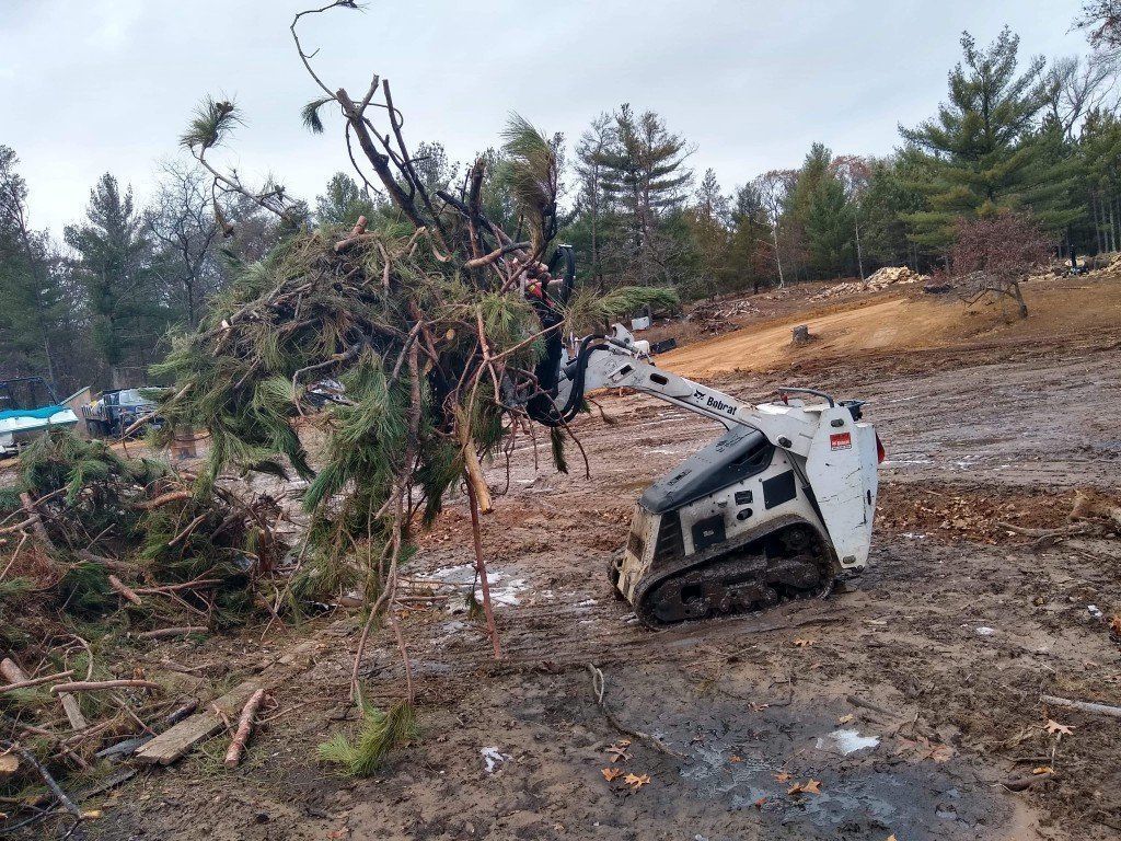 Forest Cleaning | Preston, WI | Eskildsen's Tree Service & Property Maintenance