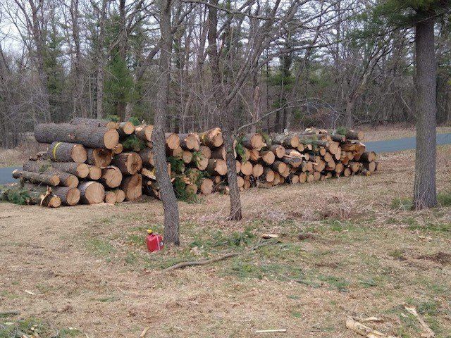 Pile Of Tree Wood | Preston, WI | Eskildsen's Tree Service & Property Maintenance