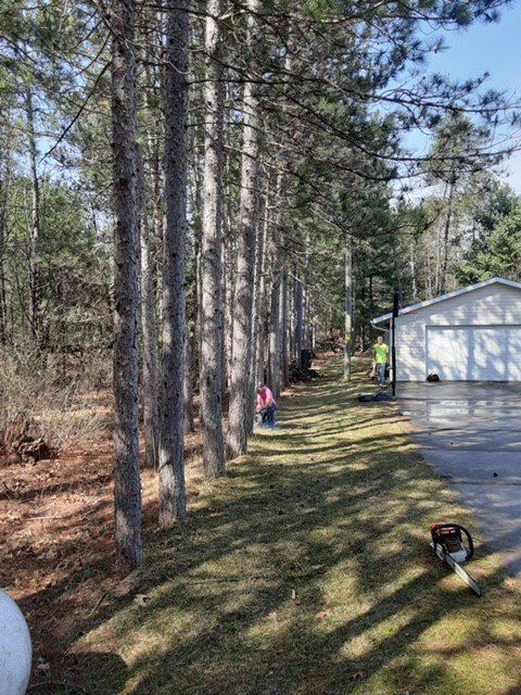 Plantation | Preston, WI | Eskildsen's Tree Service & Property Maintenance