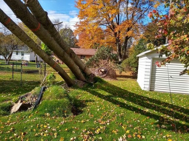 Trees Fall Down | Preston, WI | Eskildsen's Tree Service & Property Maintenance