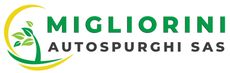 MIGLIORINI GRAZIANO AUTOSPURGHI LOGO