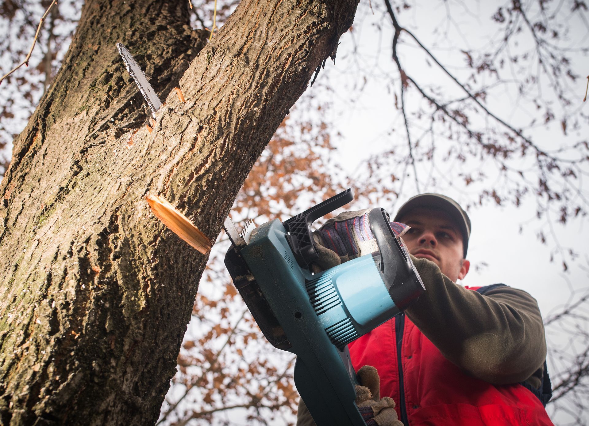 A person wearing orange gloves is holding a pair of scissors.