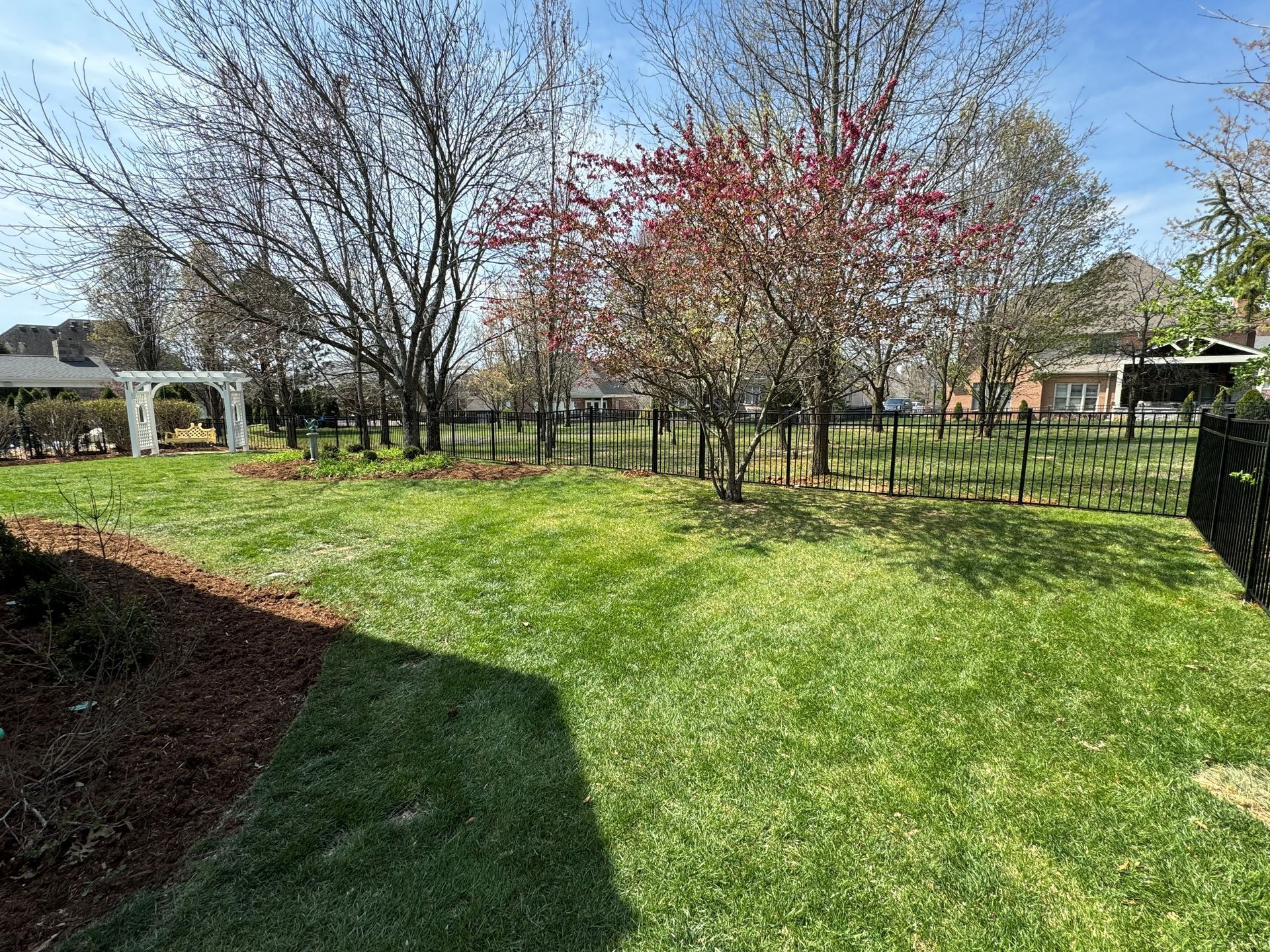 Backyard with Fence and Trees — Louisville, KY — Shatkoff Fencing