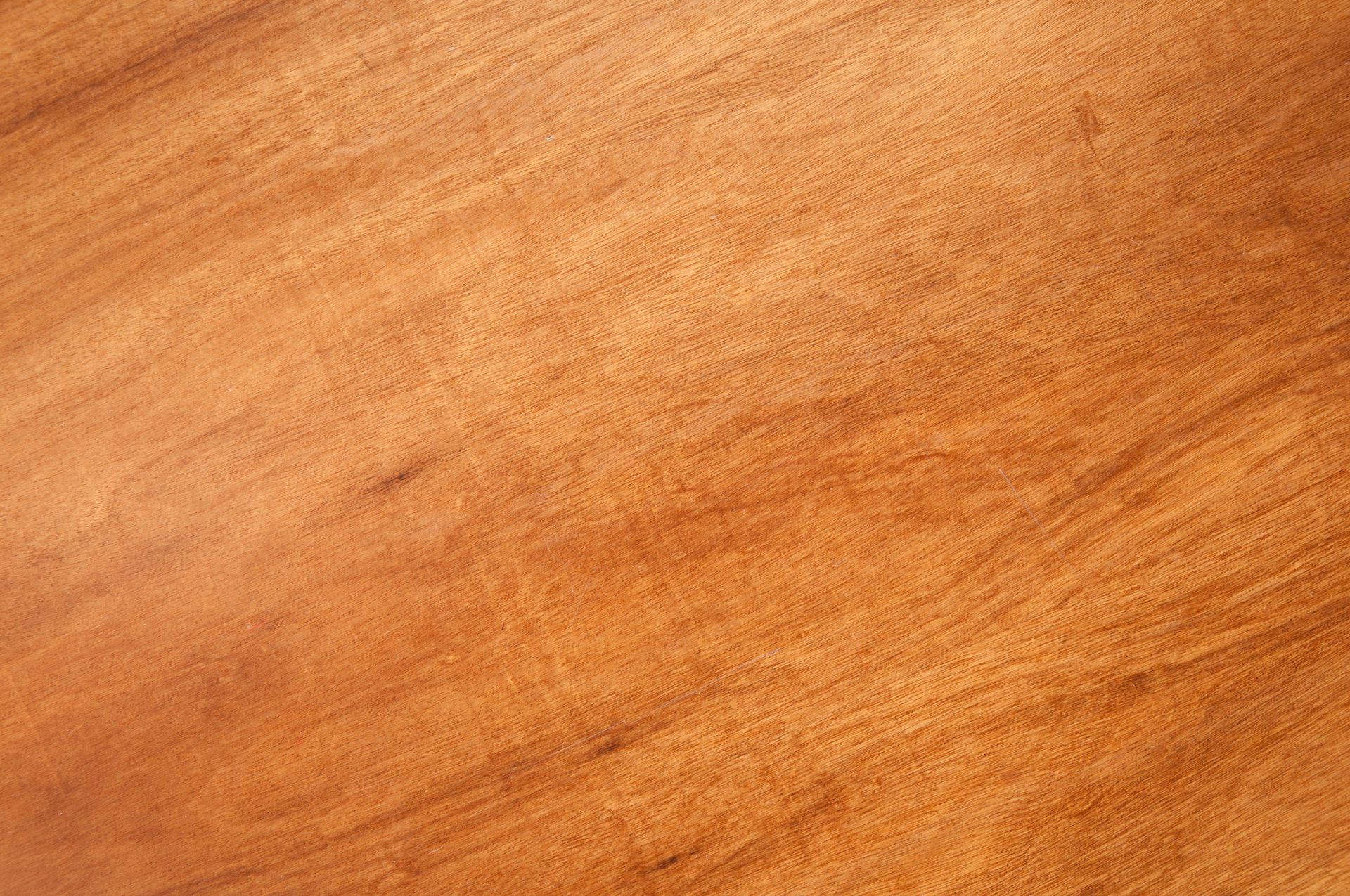 Cedar — Louisville, KY — Shatkoff Fencing