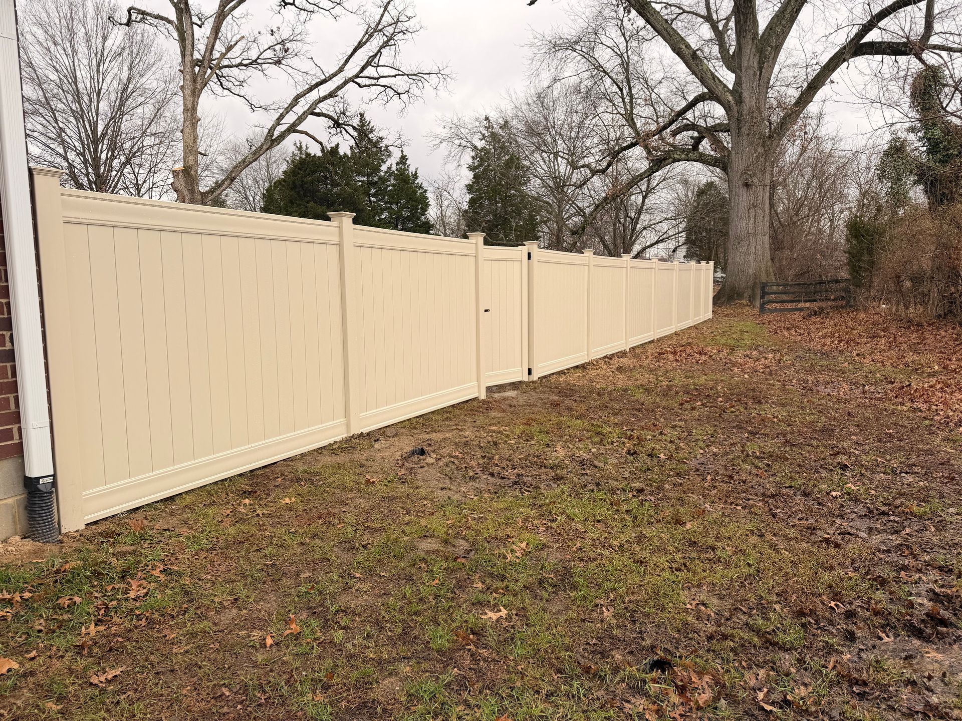 Tan vinyl fence along grassy yard, trees in background, cloudy sky.