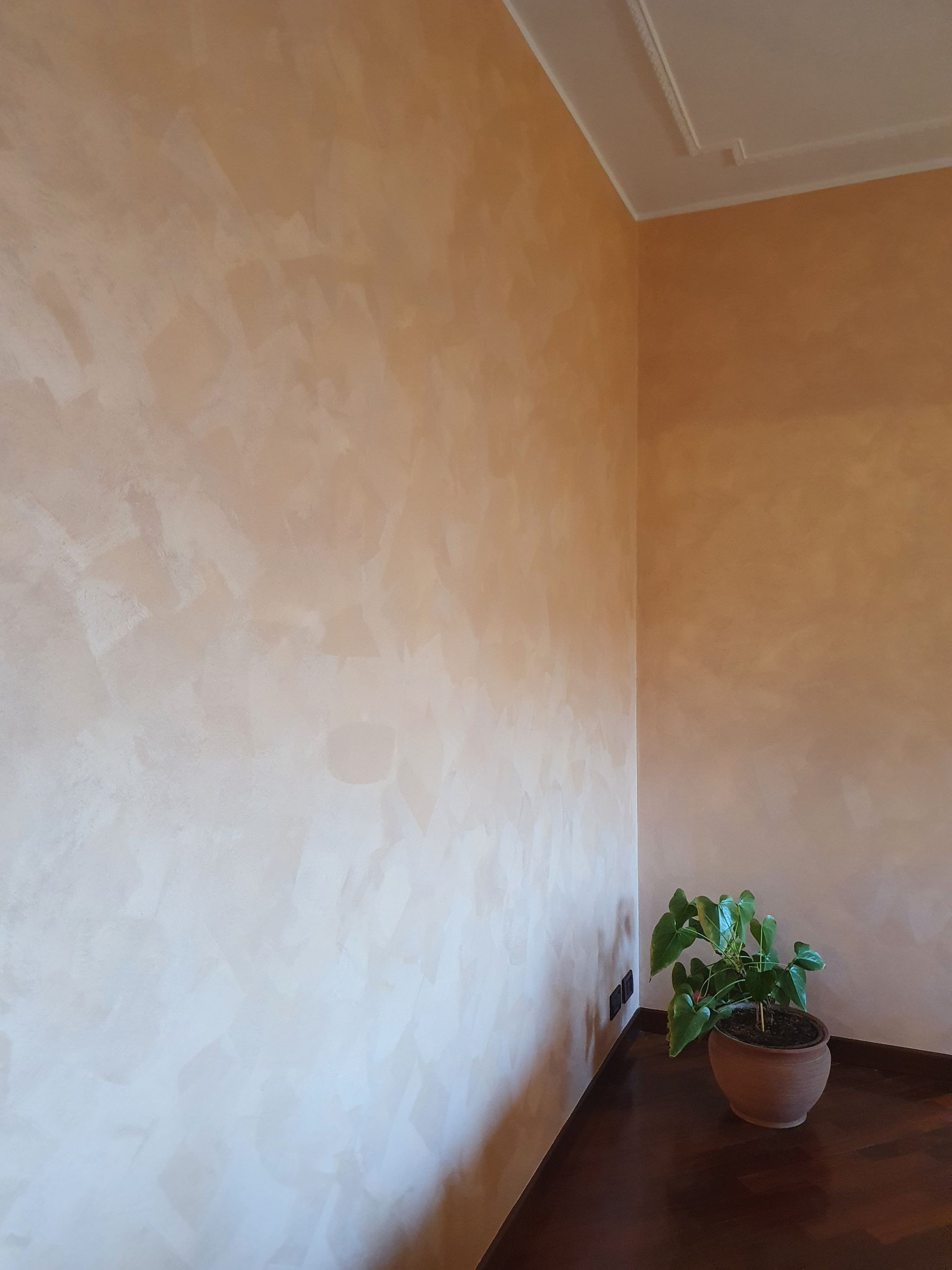 effetti decorativi pareti Boca, Novara