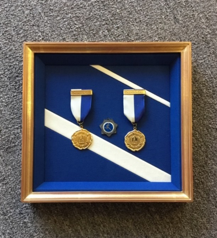 Two gold medals in a blue and white frame