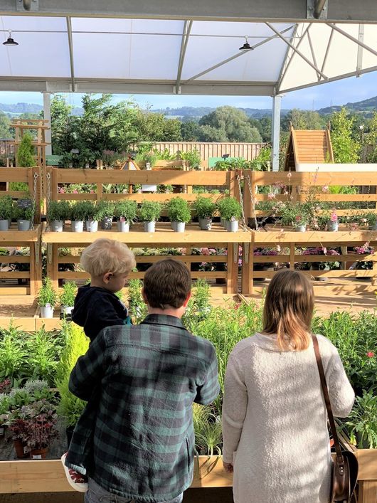 Combe Garden Centre - Honiton, Devon - Home