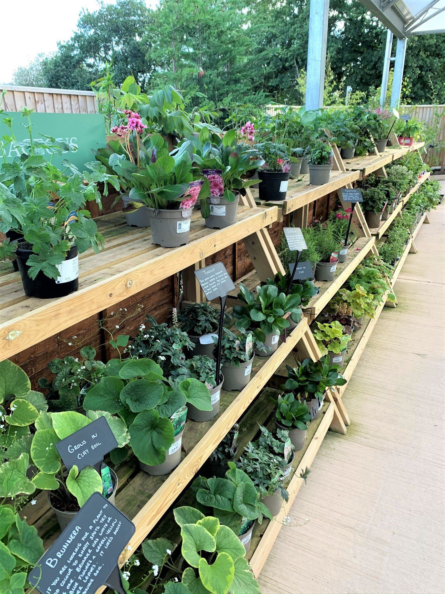 Combe Garden Centre 6