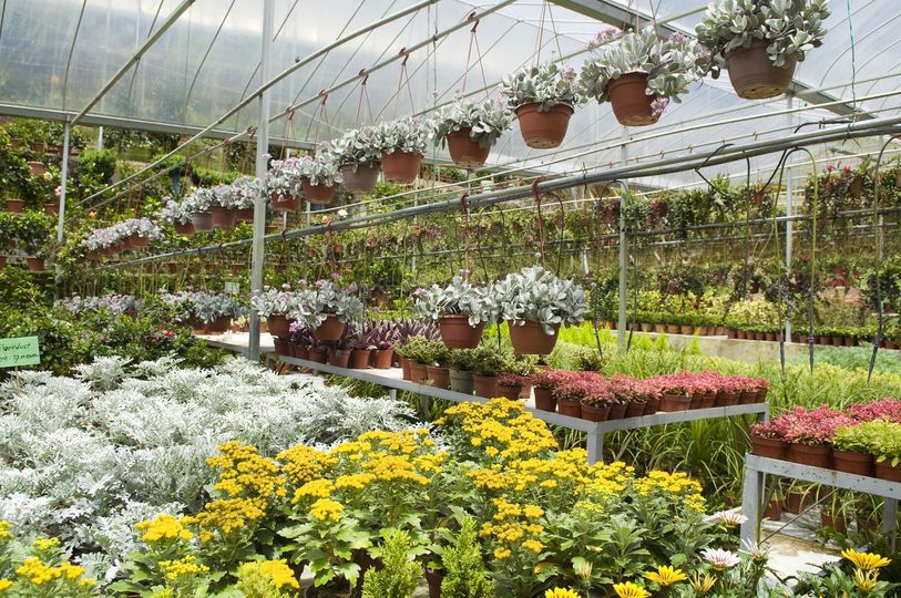 garden store interior