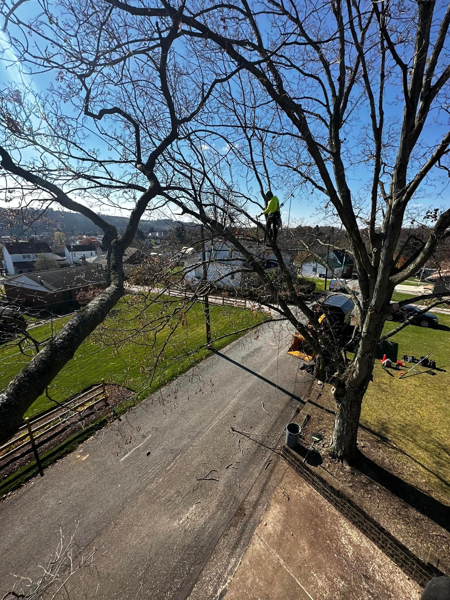 Tree Trimming Pittsburgh