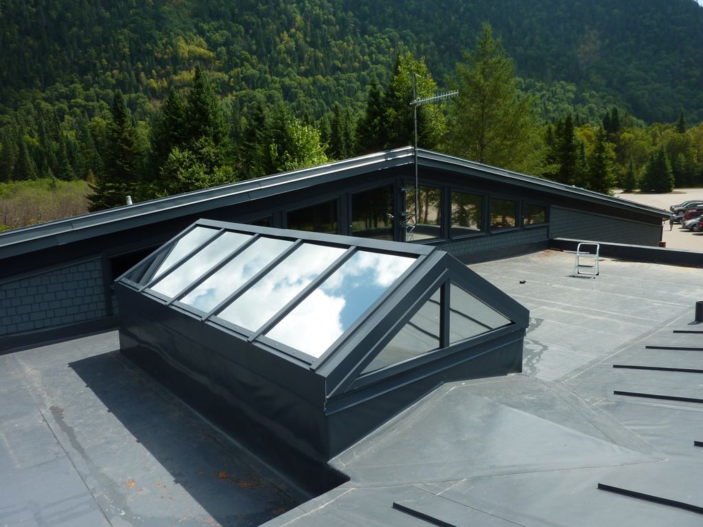 Une lucarne sur le toit d'un immeuble avec des arbres en arrière-plan