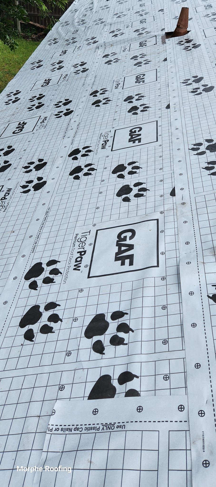 White sheet with cat paw prints and 