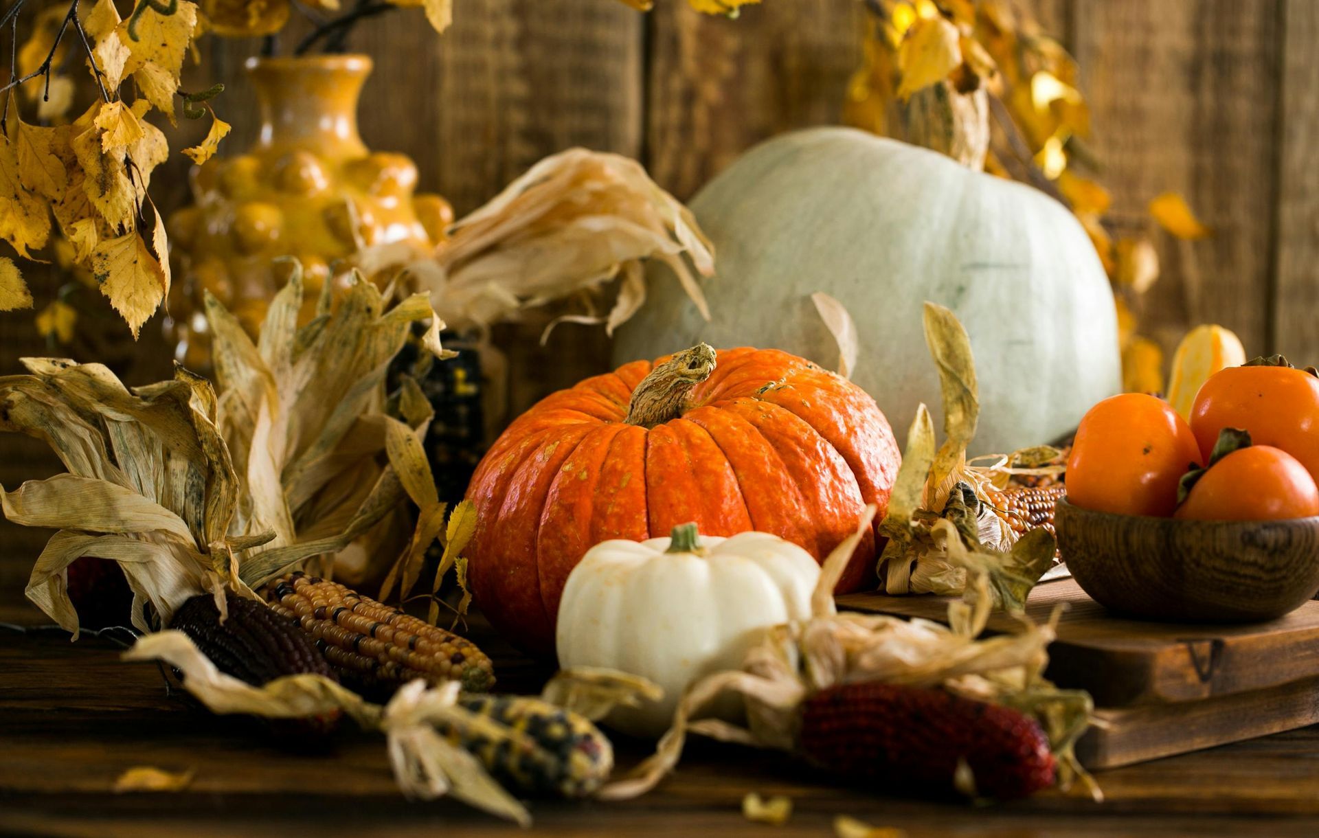 Picture of pumpkins and gourds.