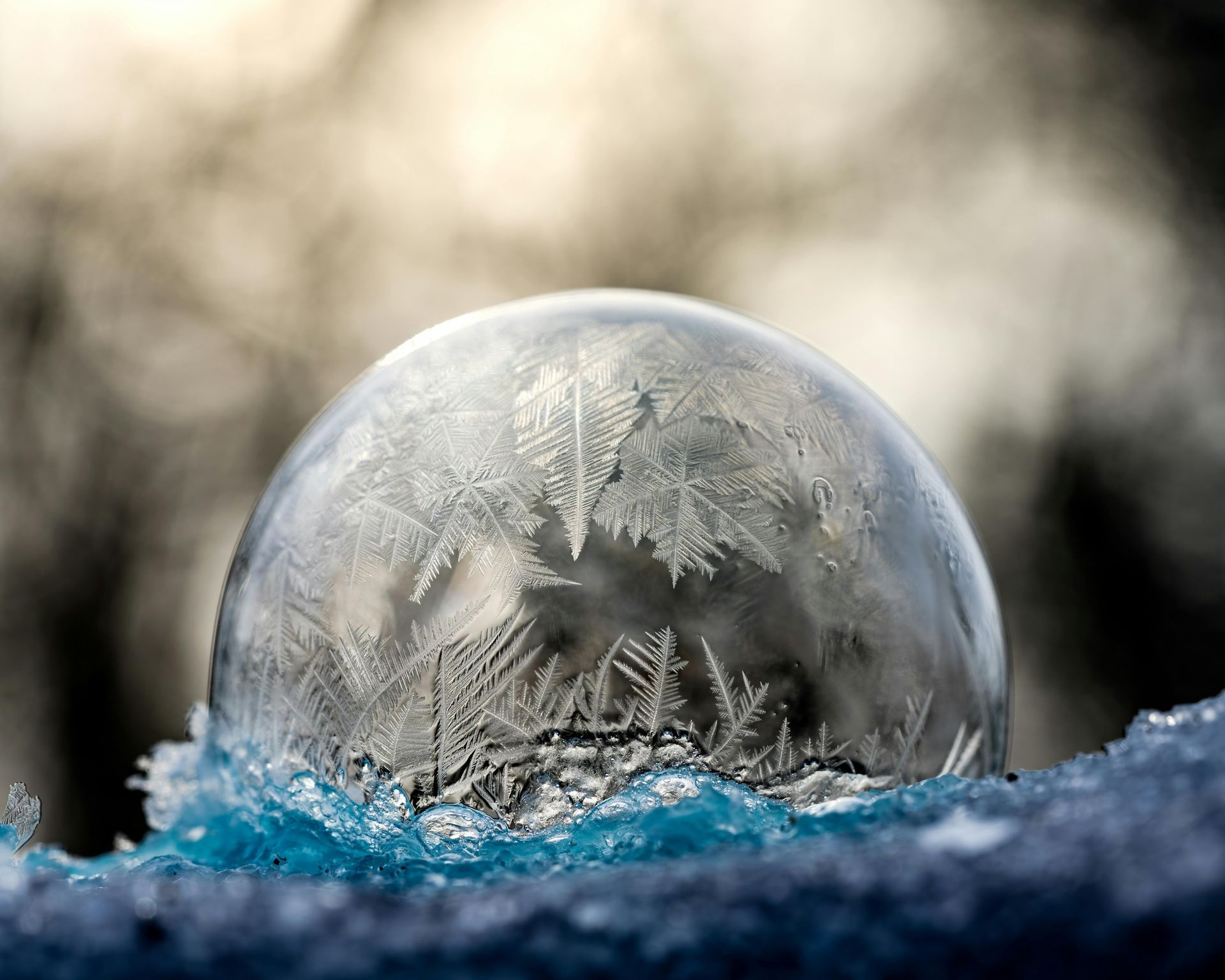 Image of a water bubble that is frozen with crystals inside resting on a branch.