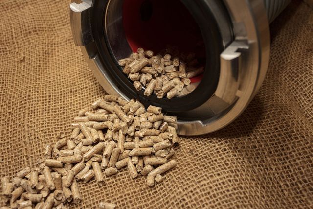pellet