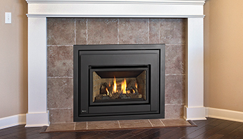 The Regency E-18 Gas Insert