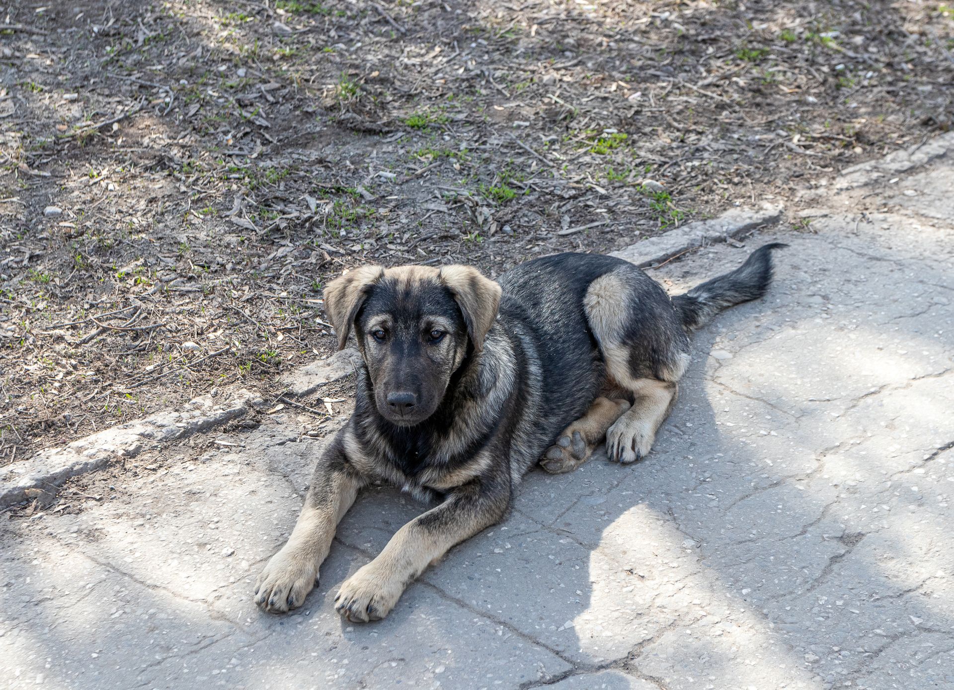 A man is spraying a cabinet with a sprayer in a kitchen.