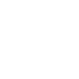 icona cofano funebre