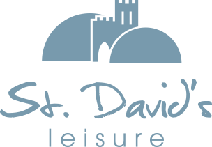 st david's park logo