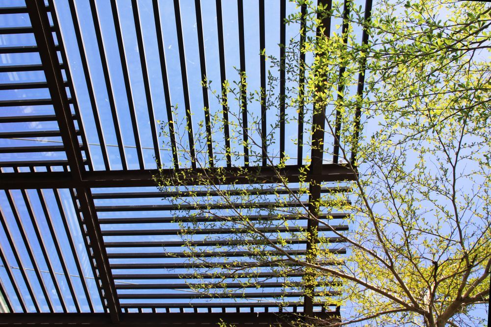 Looking up at a Tree Under a Pergola With a Blue Sky in The Background — Insulated Roof Panels in Shellharbour, NSW