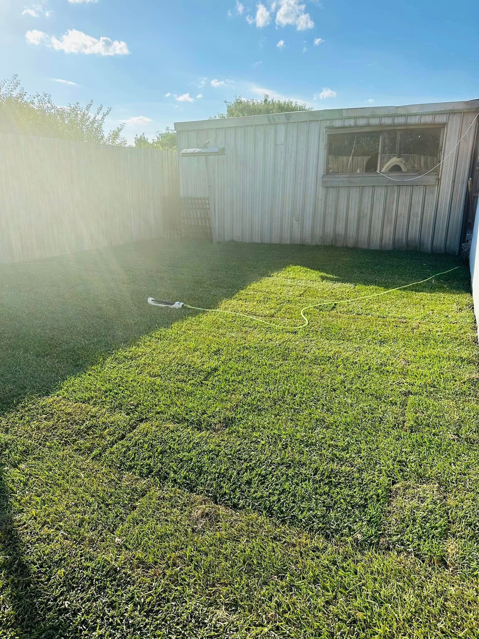 A shed is sitting in the middle of a lush green yard.