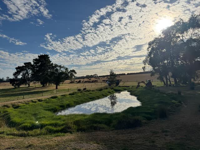 There is a small pond in the middle of a field.