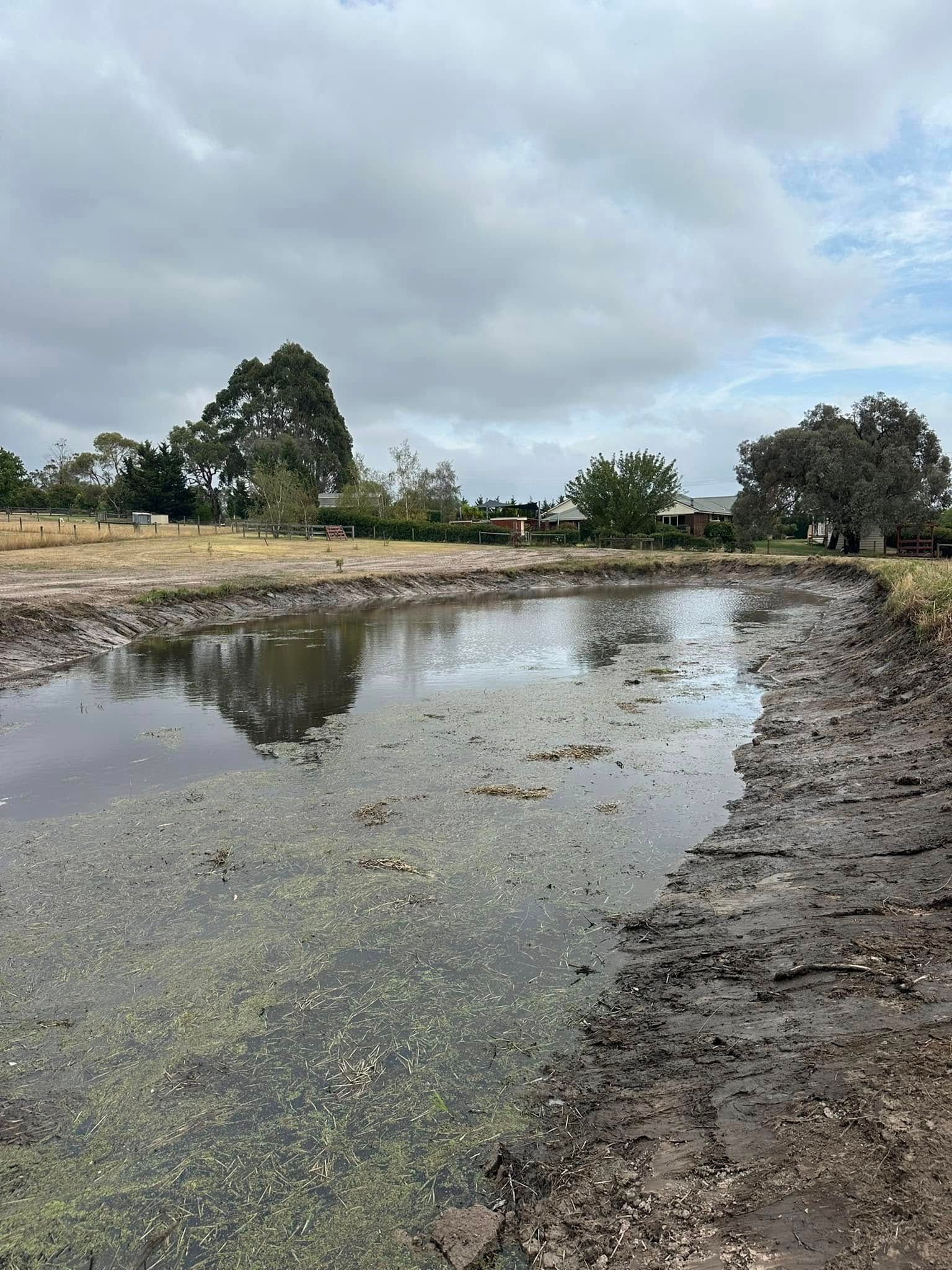 A muddy pond with trees in the background and a cloudy sky.