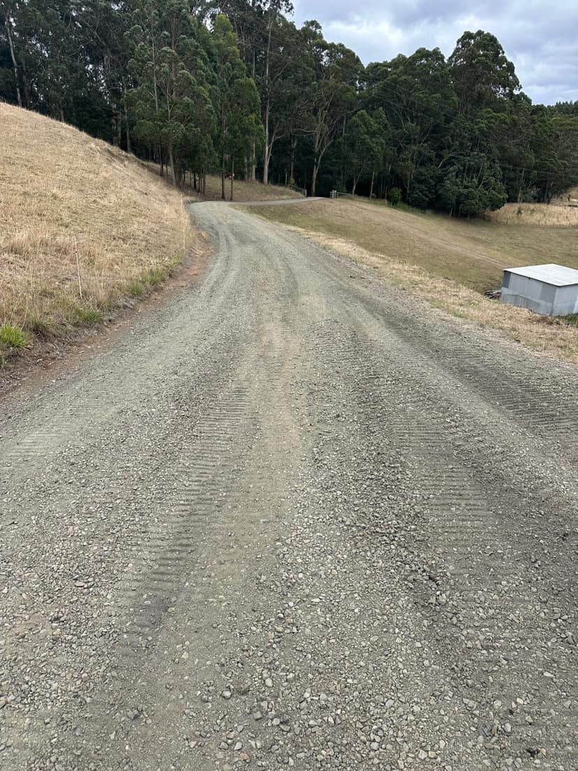 A dirt road going through a field with trees on the side.