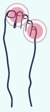 A drawing of a foot with a pair of glasses on it.