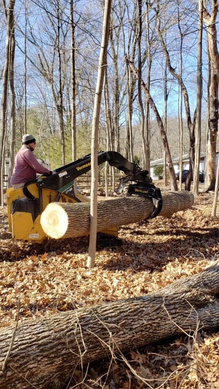 Worker operating a yellow mini excavator beside cut logs in a leaf-covered wooded area