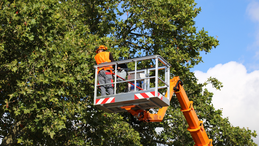Worker in orange safety gear on a cherry picker trimming tree branches against a blue sky.