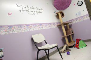 A purple room with a chair and a cat tree
