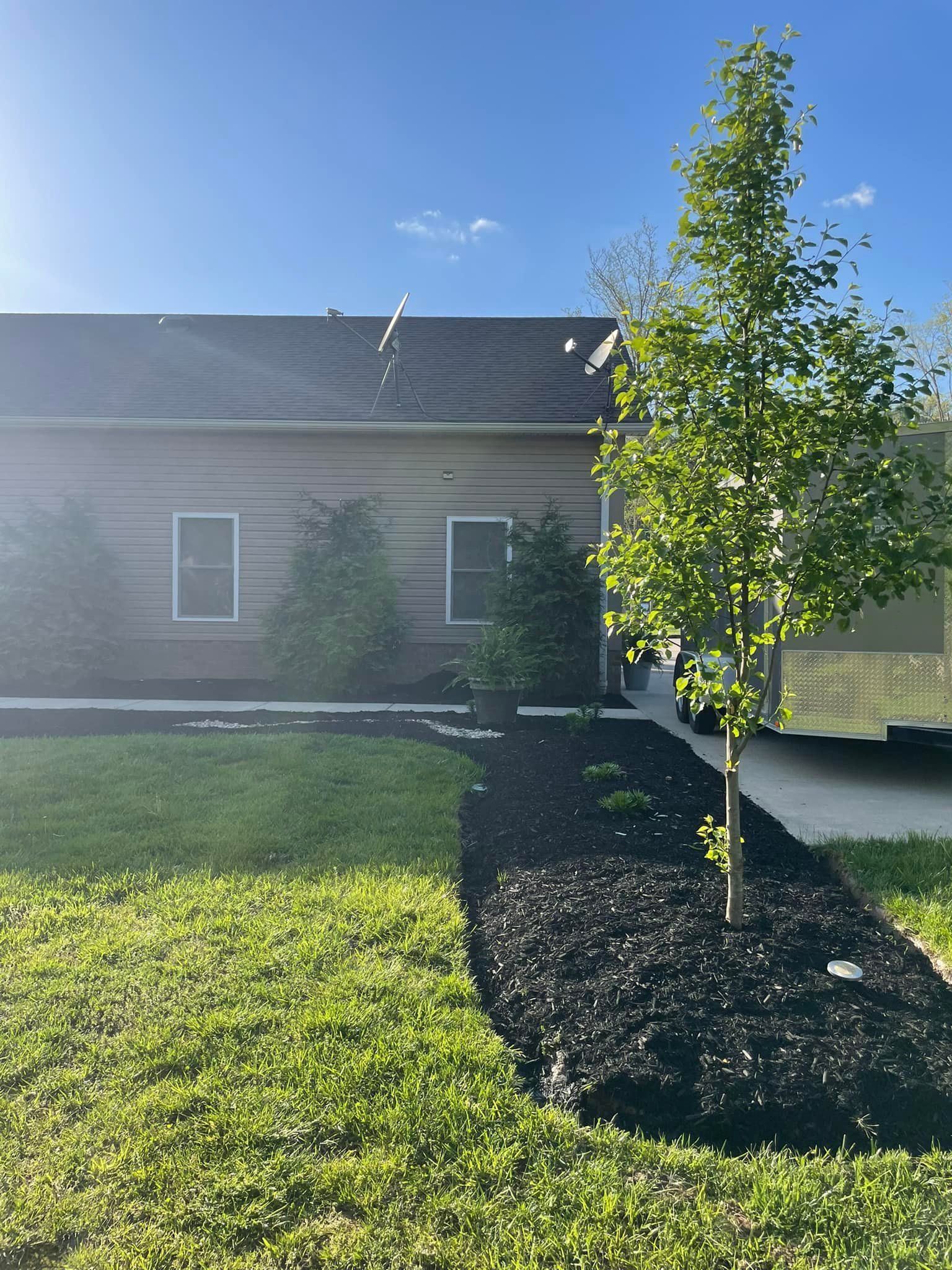 A House with a Tree in Front of It on a Sunny Day | Putnam County, WV | Jones Empire Tree Service