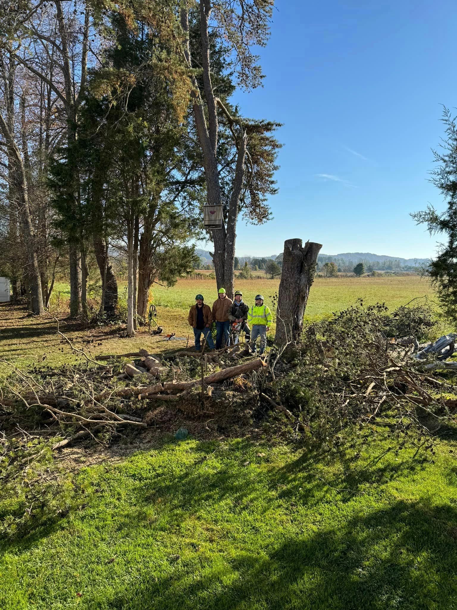 A Group of People Are Standing in a Field Next to a Fallen Tree | Putnam County, WV | Jones Empire Tree Service