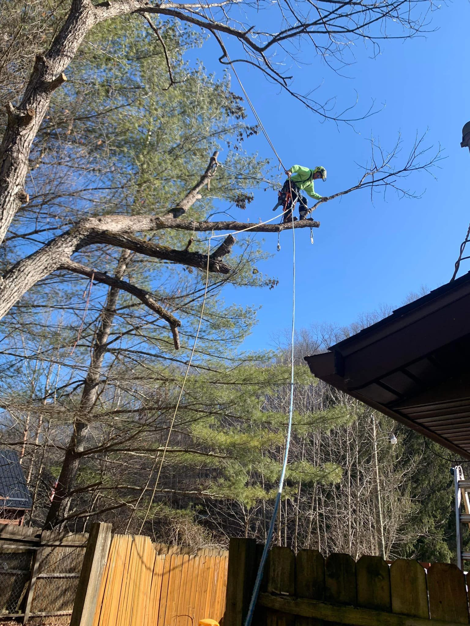 A Man Is Standing on Top of a Tree Cutting a Branch | Putnam County, WV | Jones Empire Tree Service