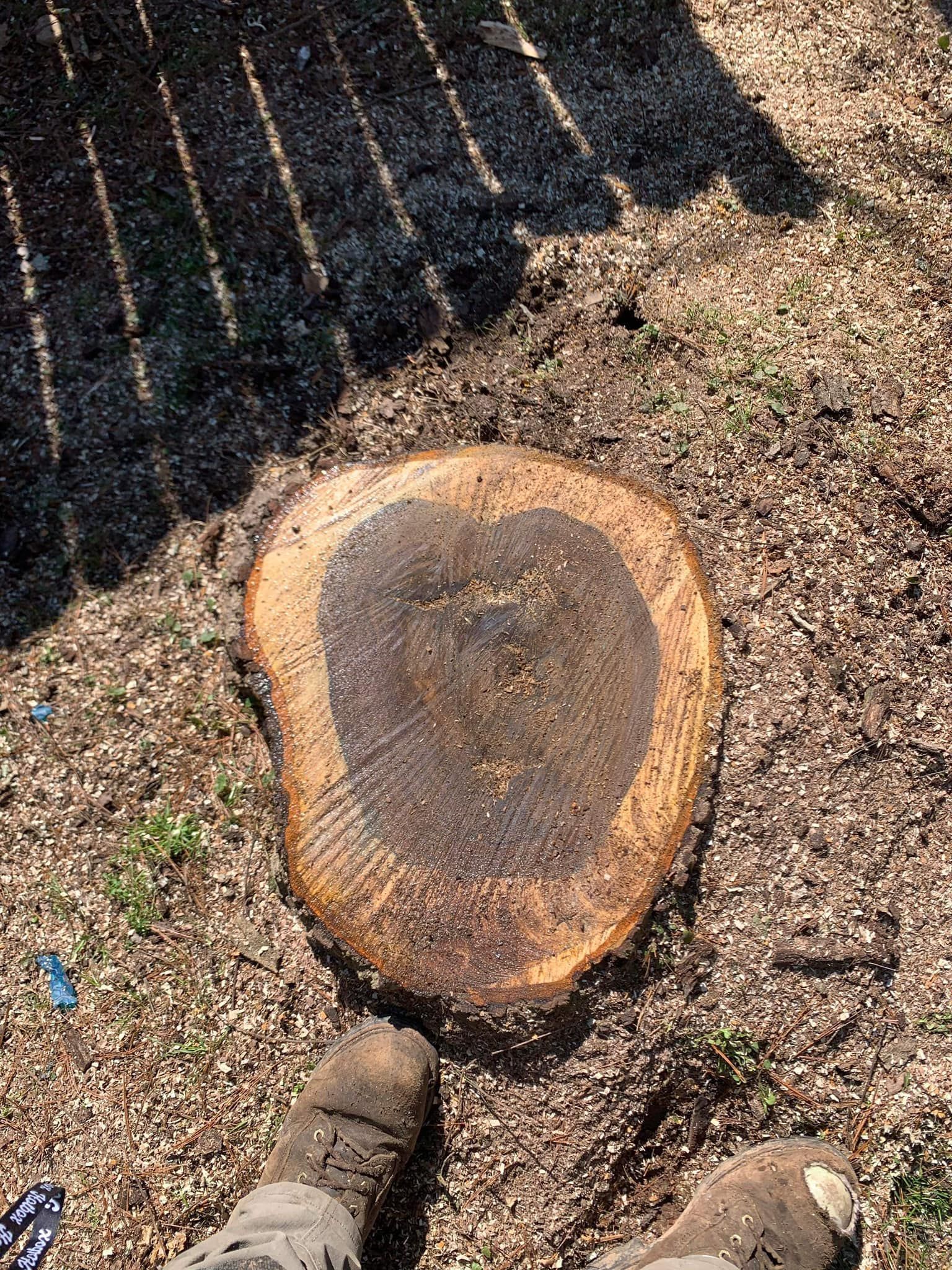 Tree Stump in the Garden | Putnam County, WV | Jones Empire Tree Service