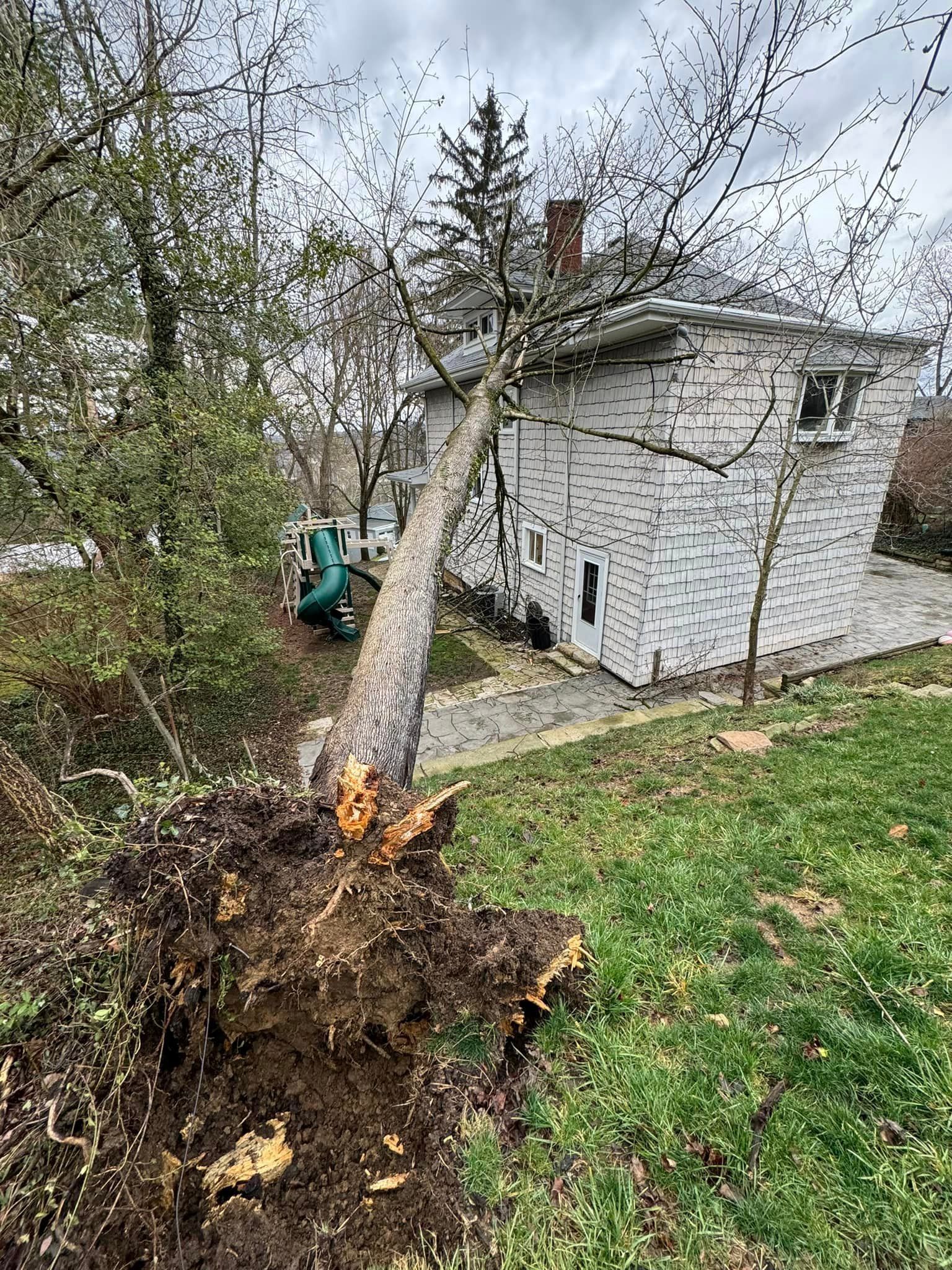 A Tree That Has Fallen in Front of a House | Putnam County, WV | Jones Empire Tree Service