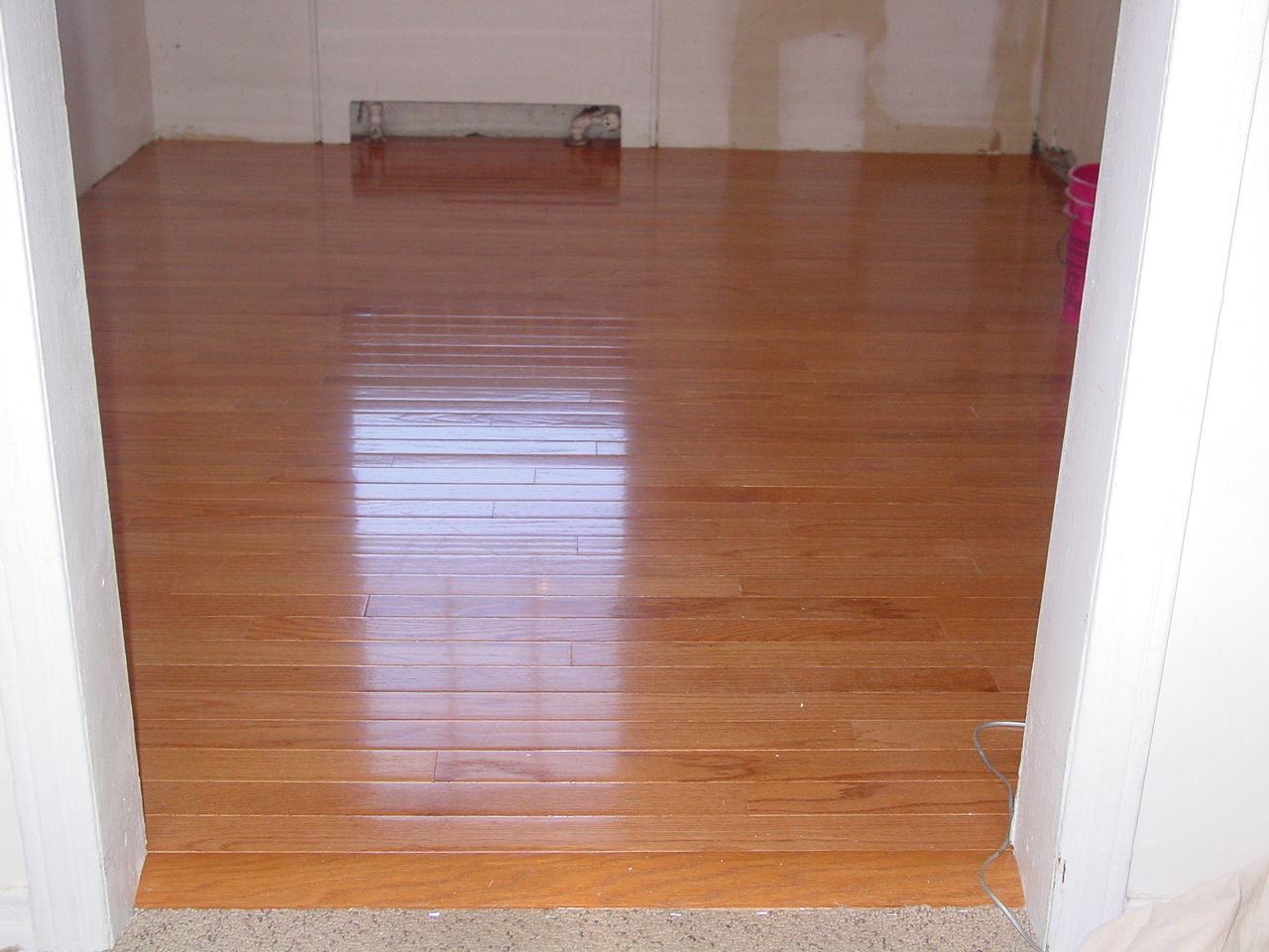 Newly refinished hardwood floor, glossy, light brown, in a doorway.