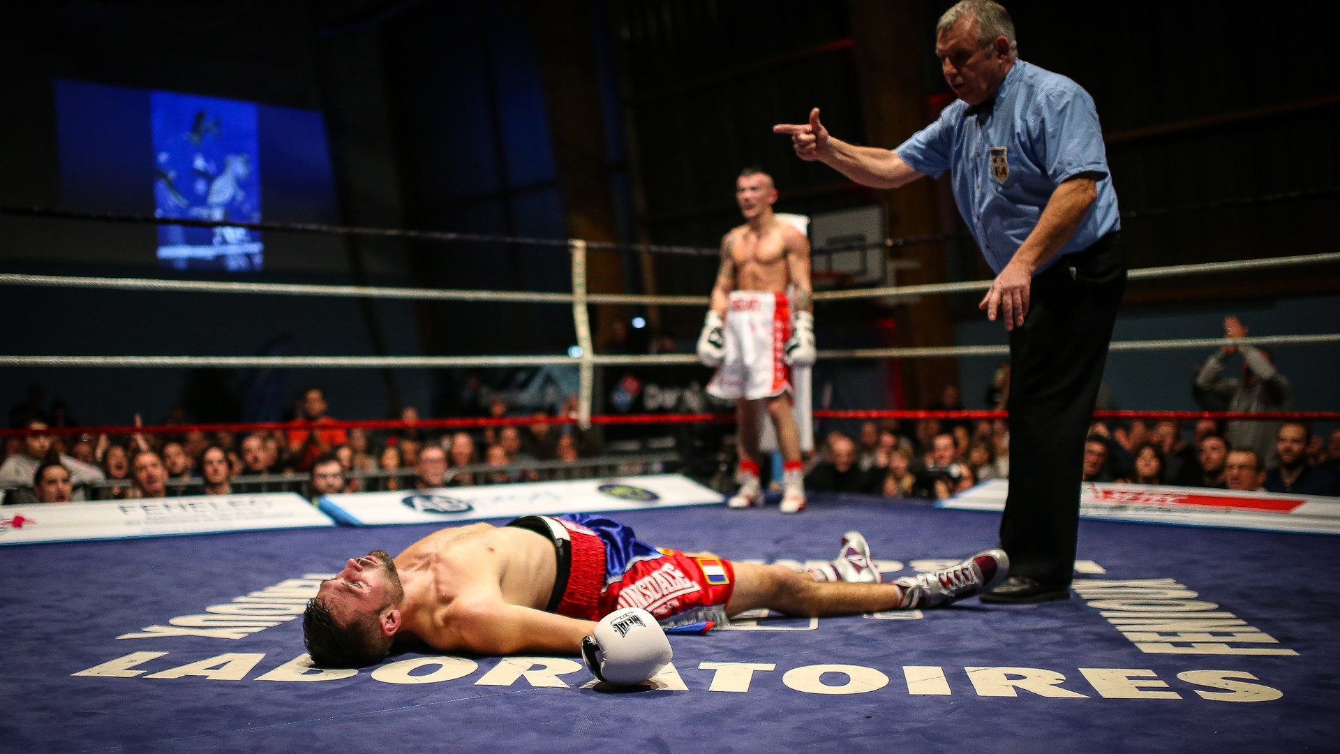 A boxer is laying on the floor in a boxing ring